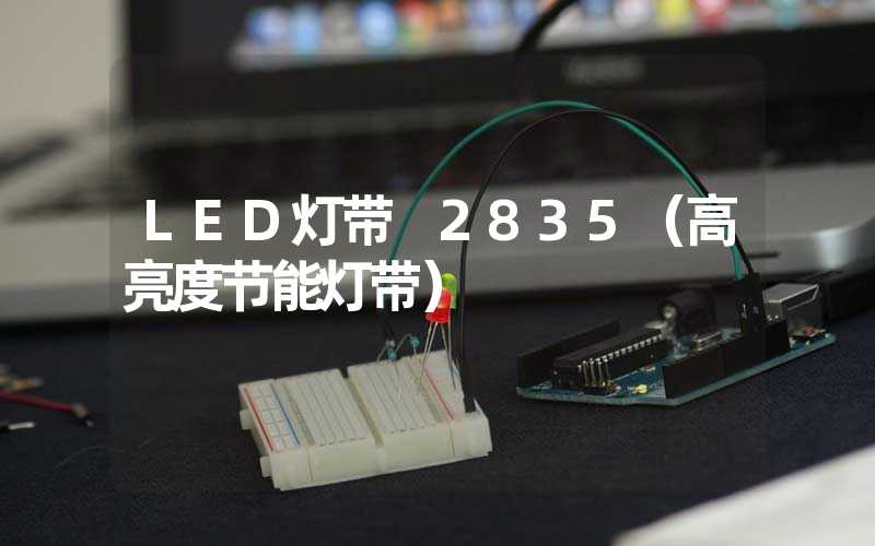 LED灯带 2835（高亮度节能灯带）